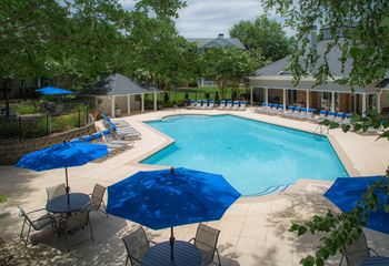 Sparkling pool with sundeck